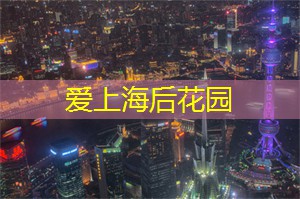 探索中国：2025年国际游客新手村四大城市全攻略
