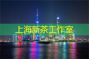 上海同城漫画展览震撼登场！邀你进入奇妙的动漫世界！