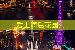 醇茶与乡愁，上海茶庄的故事纽带